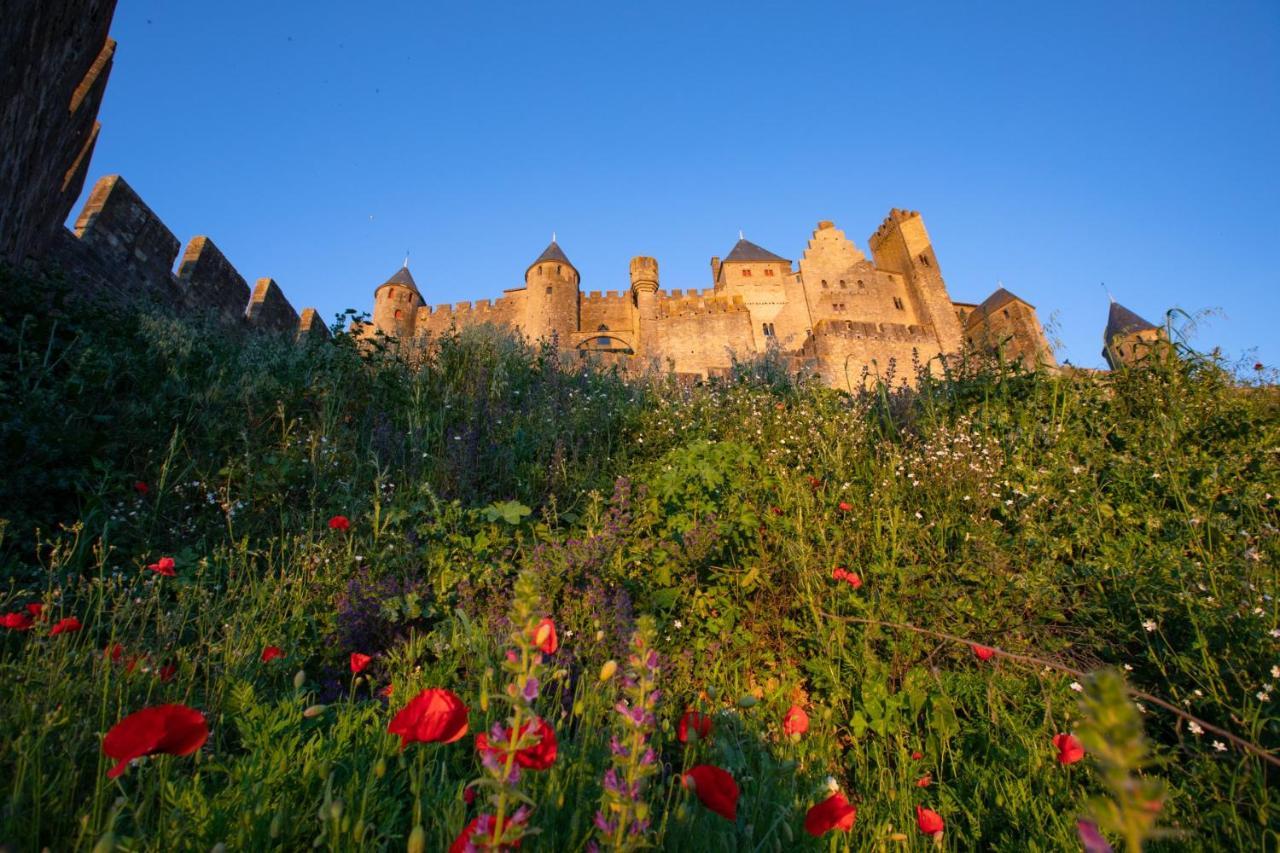 Tout Confort ! Climatisation, Centre-Ville, Parking, Terrasse, Wifi, Netflix Carcassonne Exterior photo