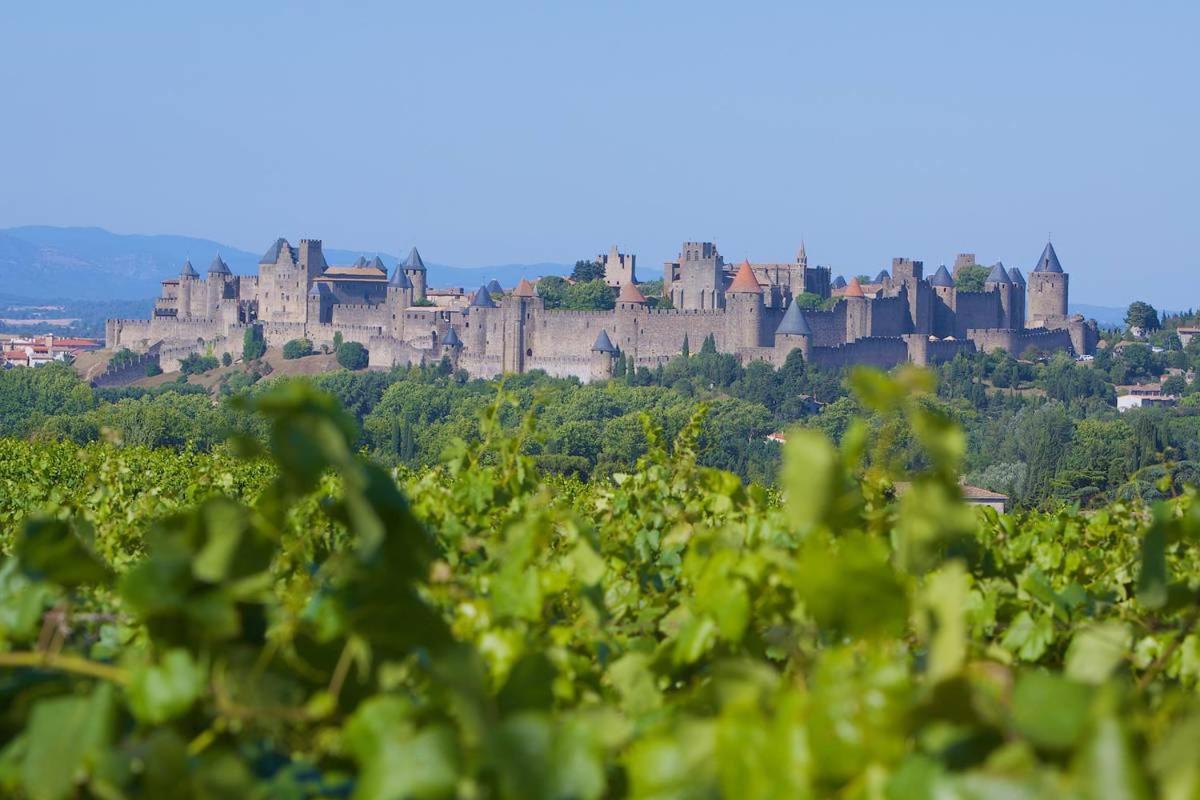 Tout Confort ! Climatisation, Centre-Ville, Parking, Terrasse, Wifi, Netflix Carcassonne Exterior photo