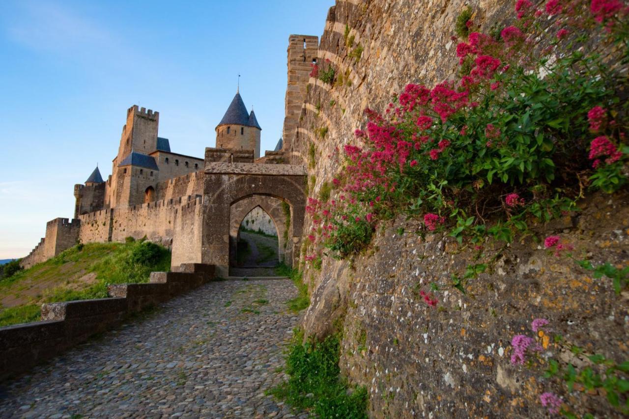 Tout Confort ! Climatisation, Centre-Ville, Parking, Terrasse, Wifi, Netflix Carcassonne Exterior photo