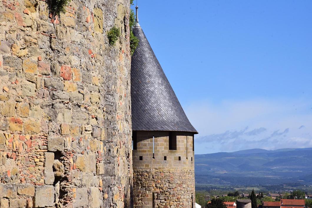 Tout Confort ! Climatisation, Centre-Ville, Parking, Terrasse, Wifi, Netflix Carcassonne Exterior photo