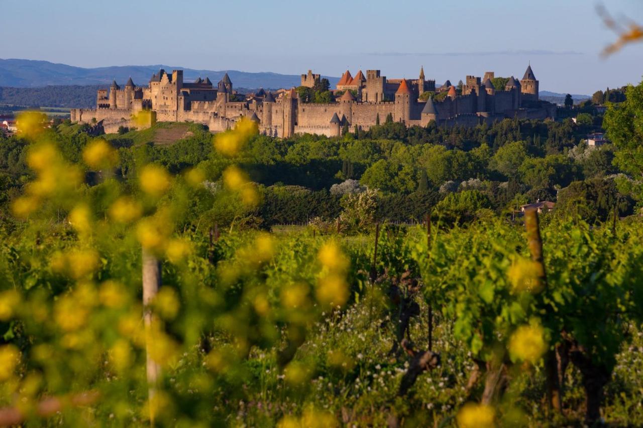 Tout Confort ! Climatisation, Centre-Ville, Parking, Terrasse, Wifi, Netflix Carcassonne Exterior photo